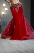 Professional bellydance costume (Classic 313A_1)